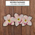 3 Count Global Sugar Art Cymbidium Orchid Sugar Cake Flowers, Pink, by Chef Alan Tetreault
