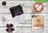 2 Pack (2.7 oz La Nouba Sugar Free Marshmallows, Keto Friendly, Zero Sugar, Low Carb, Perfect for Smores, Hot Chocolate