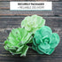 Set 3 9 Count Global Sugar Art Succulents Sugar Cake Flower, Sizes, by Chef Alan Tetreault