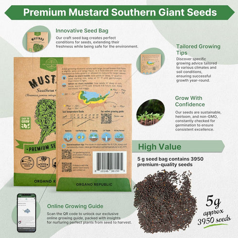 Pack 5 3,950 Packet, Organo Republic Mustard Southern Giant Seeds G - Over Non-GMO Heirloom Mustard Seeds for Planting