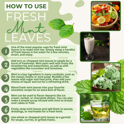 1.5oz 2oz, Pack 1 Rani Fresh Mint (Pudina) Leaves - of ~ All Natural | Vegan | Gluten Friendly | NON-GMO | Product