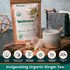 70 28 Count (Pack 1) Herbaly Wellness Collection Organic Herbal Ginger Tea, g, Bag