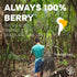 5 Jungle Powders Organic Acai Powder Ounce Bag Freeze Dried Acai Berry Powder from Whole Berries, Antioxidant-Rich Acai
