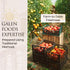 Pack 2, 10.2 oz Galen Food Oven Roasted Tomatoes - Marinated Tomato in Oil, of Each