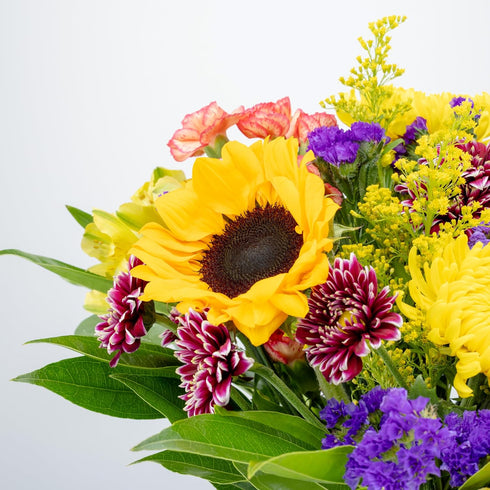 Benchmark Bouquets Flowering Fields Sunflower Bouquet - Mothers Day Flowers for Delivery - Mothers Day Gifts for Mom