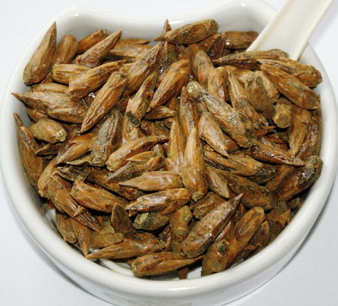 White Poplar Buds - Populus Alba L # Herba Organica # (50g)