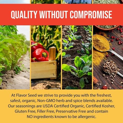 Flavor Seed Rock Yo Taco Gluten Free Organic Taco Seasoning Mix, 2.6 oz - Plant Based, Non-GMO, Vegan
