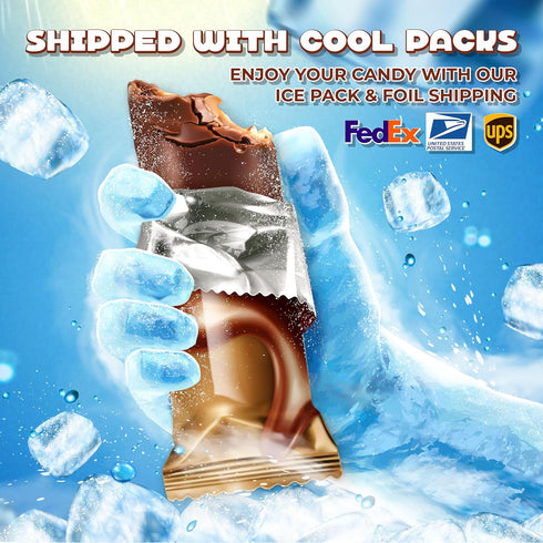 14 Dark Chocolate Covered Pretzels, Salted Pretzels in Mildly Sweet Smooth Dark Chocolate, Ounce Bag