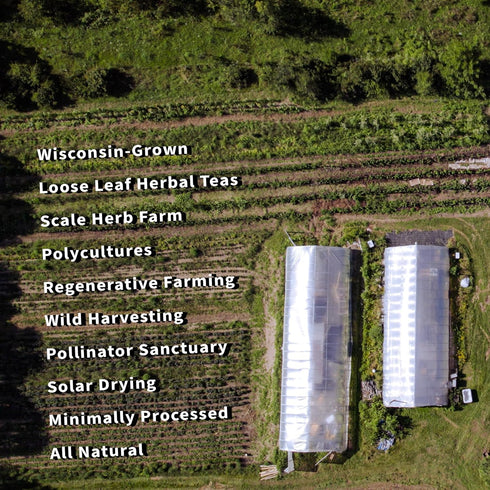 5.6 oz 79 Milky Oats, Organically Grown in Wisconsin | | Servings | Sacred Blossom Farm | Herbal Tea & Medicinal Herbs