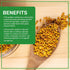 2 Jiva Organic Chana Dal Pound Bag - Non-GMO, Premium, Certified - Split Desi Indian Chickpeas