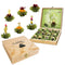 Creano Flowering Abloom Tea - Blooming Gift Set in Stylish Wooden Box,