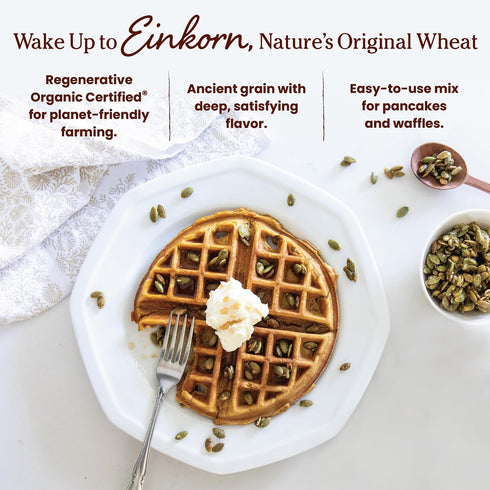 16 oz (Pack 3) Jovial Organic Einkorn Pancake & Waffle Mix - Pancake Mix, Premium Batter Flour for Waffle Maker, Fast