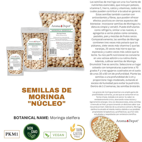 4 oz. Moringa Seeds KERNEL Shelled Clean - 100% Natural Superfood, Rich in Vitamins, Edible Seeds