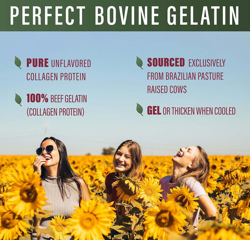 660 100% Perfect Supplements Perfect Bovine Gelatin Grams Beef Gelatin Collagen Protein Supports Healthy Skin & Joint