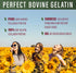 660 100% Perfect Supplements Perfect Bovine Gelatin Grams Beef Gelatin Collagen Protein Supports Healthy Skin & Joint