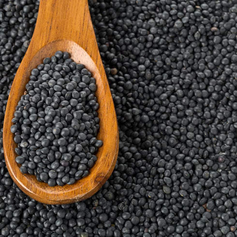 2.5 Black Beluga Lentils, Pound Bulk Bag