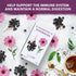 Nutra Tea - Elderberry & Echinacea Tea, Immunity Herbal Tea with 40 Tea Bags, 2 Pack
