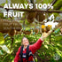 3.5 Jungle Powders Kiwi Fruit Powder Ounce Bag Freeze Dried Kiwi Smoothie Whole Fruit Juice Powder for Baking