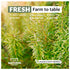 3.2oz, Eastanbul Rosemary Leaves Dried Rosemary Seasoning, Natural, Freshly Picked Vegan Rosemary Herb, Rosemary Spice
