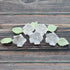 24 Count Global Sugar Art Blossoms and Leaves Edible Sugar Cake & Cupcake Flowers, White, Small Unwired, with Leaves by