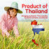 16 Pack 4 Rice Stick Noodles for Pho, Stir Fry, Pad Thai, Chow Fun, Ounce Each
