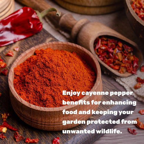 DEAL SUPPLEMENT 5 80,000 Ground Cayenne Pepper Powder, Pounds Extra Hot Heat Units Raw Spicy Red Pepper Flavor Great