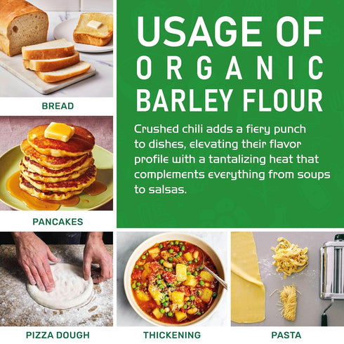 2 Jiva Organic Barley Flour Pound - All Natural & Raw - Product of India