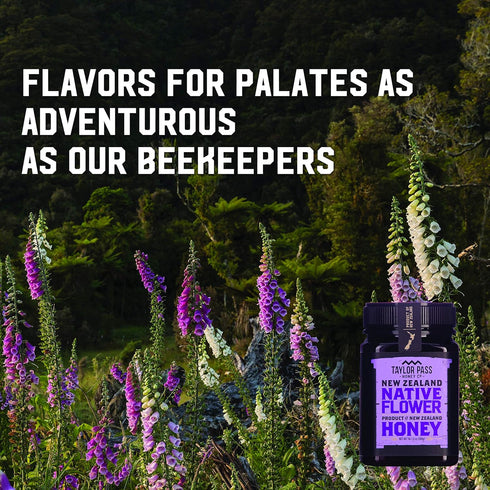 1lb 1.6oz Taylor Pass Honey Co Native Flower Honey | NON GMO
