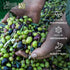 25.5 Oz (Pack 1) Delicate Italian Extra Virgin Olive Oil Cold Pressed - Light Olive Oil for Cooking and Frying