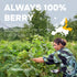 5 3rd Yellow Raspberry Powder Ounce Bag - Party Lab Tested Himalayan Golden Freeze Dried Raspberries Fruit Dehydrated