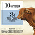 1.3 oz, 12 EPIC Protein Bars, Beef Sea Salt Pepper, Keto and Paleo Friendly, ct