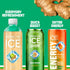 17 oz (Pack 12) Sparkling Ice, Ginger Lime Sparkling Water, Zero Sugar Flavored Water, with Vitamins and Antioxidants