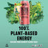Yachak 16 Oz (Pack 12) Yerba Mate Drink, Passionfruit, Fl