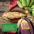 14 (Pack 6) Jiva Organic Banana Blossoms Ounce of - BPA Free, Gluten Free - Delicious Meatless Alternative