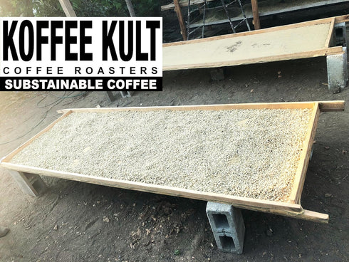 32oz) Koffee Kult Sumatra Coffee Beans Dark Roast - Indonesian Fresh Roasted Coffee Beans(Whole Bean