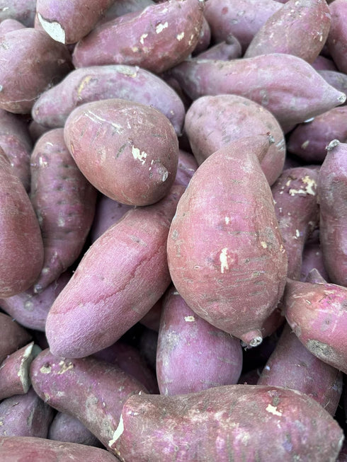 Generic 5 Pounds Fresh Japanese White Sweet Potatoes Yam - Red Skin - White Flesh - Large Size Roots - Produce