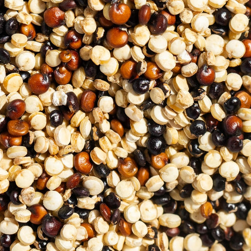 12 oz SIMPLi Regenerative Organic Certified Tri-Color Quinoa, Ancient Grain, Complete Plant-Based Protein, Naturally