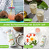 11 oz (Pack 12)|100% COCOXIM Ready to Drink Coconut Water with Citrus Juice of Natural & Fresh with Electrolytes