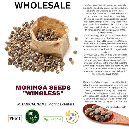 4 oz. Moringa Seeds KERNEL Shelled Clean - 100% Natural Superfood, Rich in Vitamins, Edible Seeds