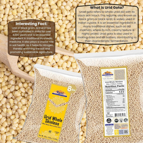 128oz (8lbs) 3.63kg Rani Urid/Urad Gota White (Matpe Beans Skinless) Indian Lentils Bulk ~ All Natural | Gluten