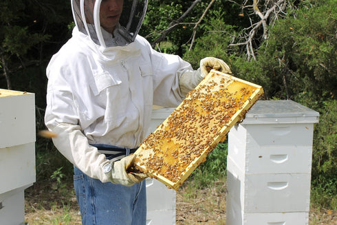 2lb Raw Honey Pure Natural Nebraska Honey One Jar