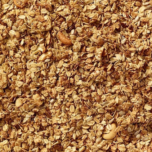 2 Pack 2 Grandy Organics Honey Nut Gluten Free Granola - Certified Organic, Non-GMO, Lower Sugar, Family Value Size