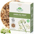 4 oz. Angelica Root Bulk Herb Herbal Tea (Angelica archangelica) - 113g Angelica Root Herb Tea Raiz de angelica