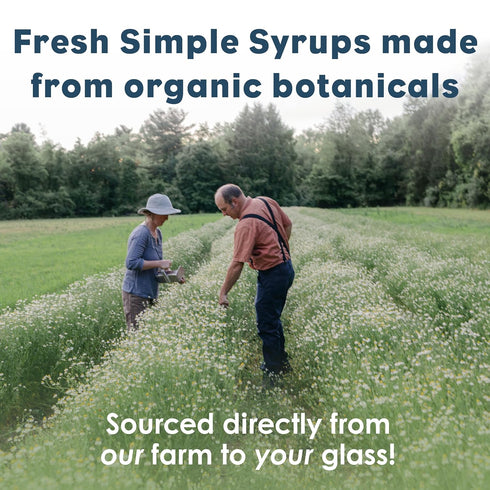 8 oz, Bluestem Botanicals Organic Lemongrass Simple Syrup, Cocktail and Mocktail Mixer for Drinks, Non-Alcoholic