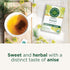 96 (6 Pack) Traditional Medicinals Tea, Organic Fennel, Promotes Healthy Digestion, Tea Bags
