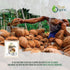 4 64 Oz True Organic Ceylon Coconut Flour, Pound / Bulk Bag, Certified Organic, USDA & Kosher Certified, Non-GMO