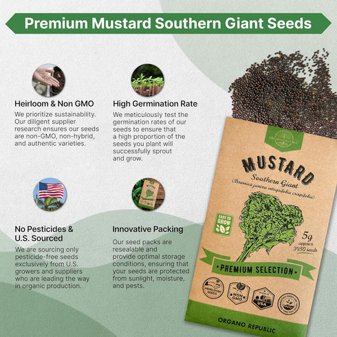 Pack 5 3,950 Packet, Organo Republic Mustard Southern Giant Seeds G - Over Non-GMO Heirloom Mustard Seeds for Planting