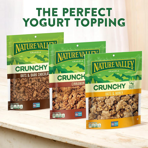 17 OZ (Pack 2) Nature Valley Protein Granola, Oats and Honey, Family Size, Resealable Bag