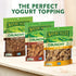 17 OZ (Pack 2) Nature Valley Protein Granola, Oats and Honey, Family Size, Resealable Bag