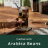 18 oz Starbucks Whole Coffee Beans, Dark Roast Hot or Iced Coffee, French Roast
